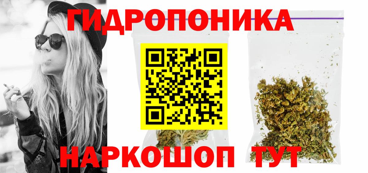 Марихуана Bruce Banner  Шишки марихуана сатива  Гатчина  Каннабис план  Вход с VPN 